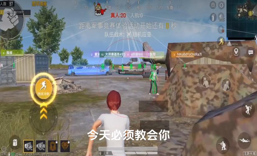 和平精英【锦鲤内核】辅助外挂